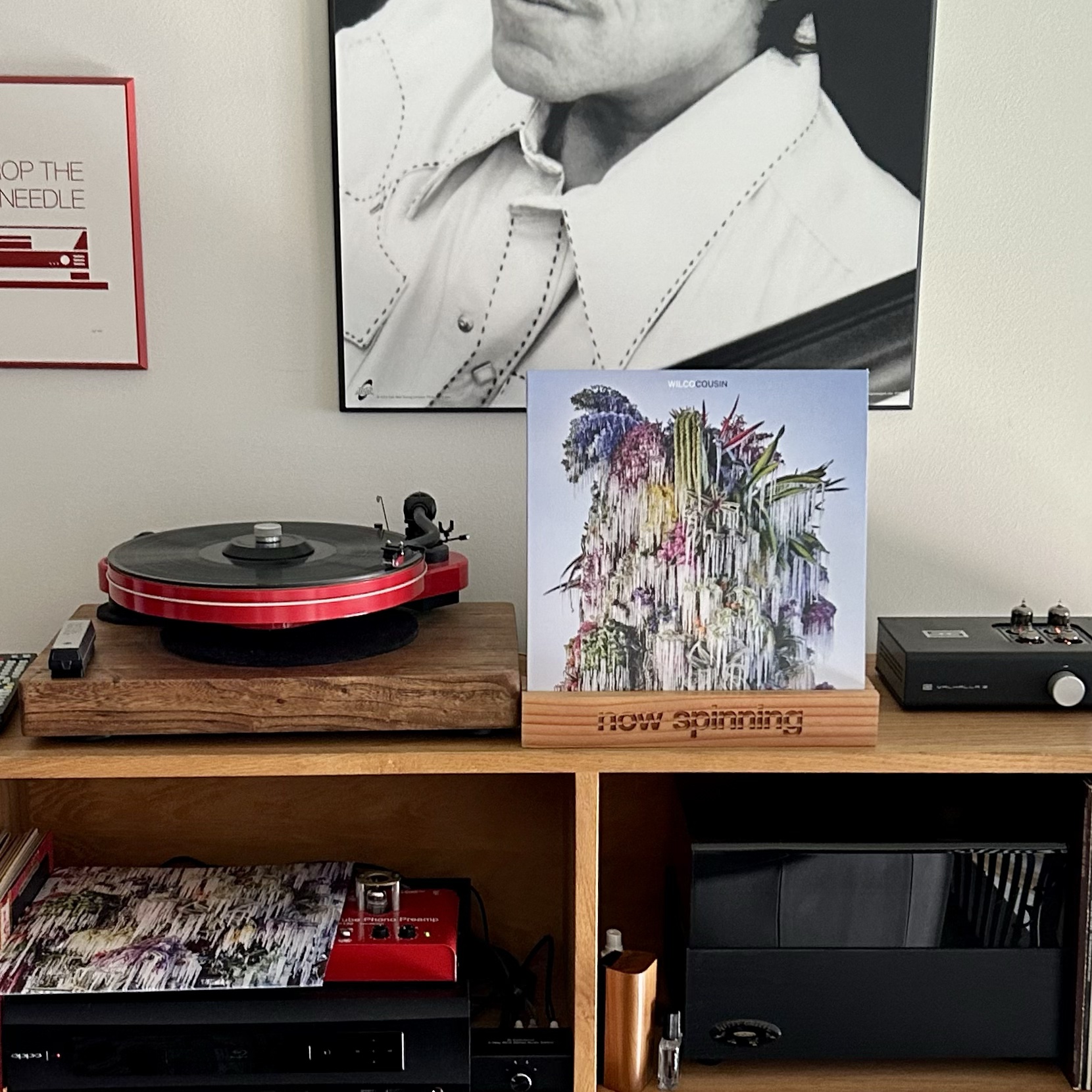 Wilco – Cousin | Axl's Catch Groove